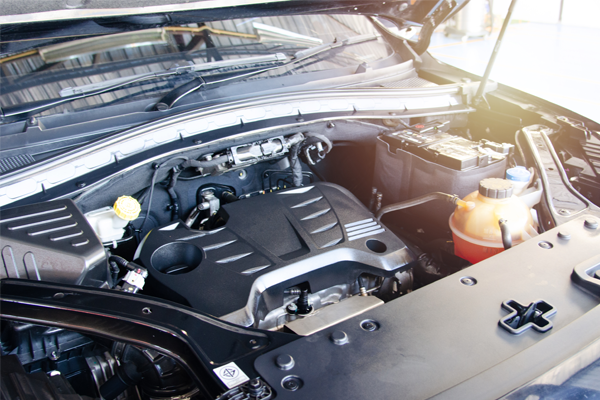 Cambiar el taco del motor