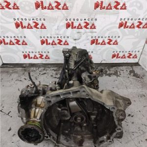 Caja Cambios Manual Seat Ibiza (6L1)(04.2002->) 1.9 TDI - 313335