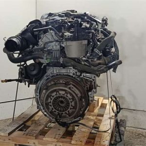 Motor Completo Ford FIESTA VI 1.6 TDCi - 635831