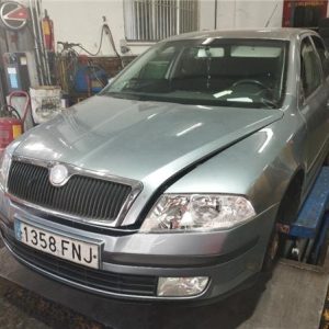 Motor Completo Skoda Octavia Berlina (1Z3)(2004->) 2.0 TDI 16V - 544514