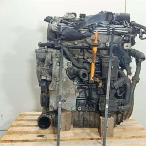 Motor Completo Volkswagen Golf Plus V (5M1)(2005->) 1.9 Edition [1,9 Ltr. - 77 kW TDI] - 623143