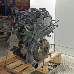 Motor Completo Volkswagen Passat Berlina (3C2)(2005->) 2.0 TDI - 613318